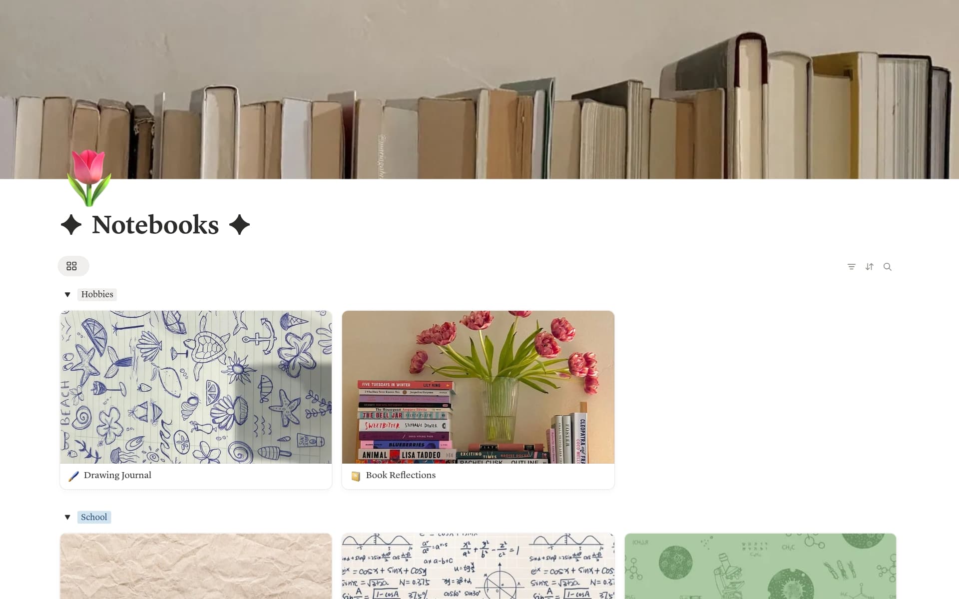 Notebook Collection